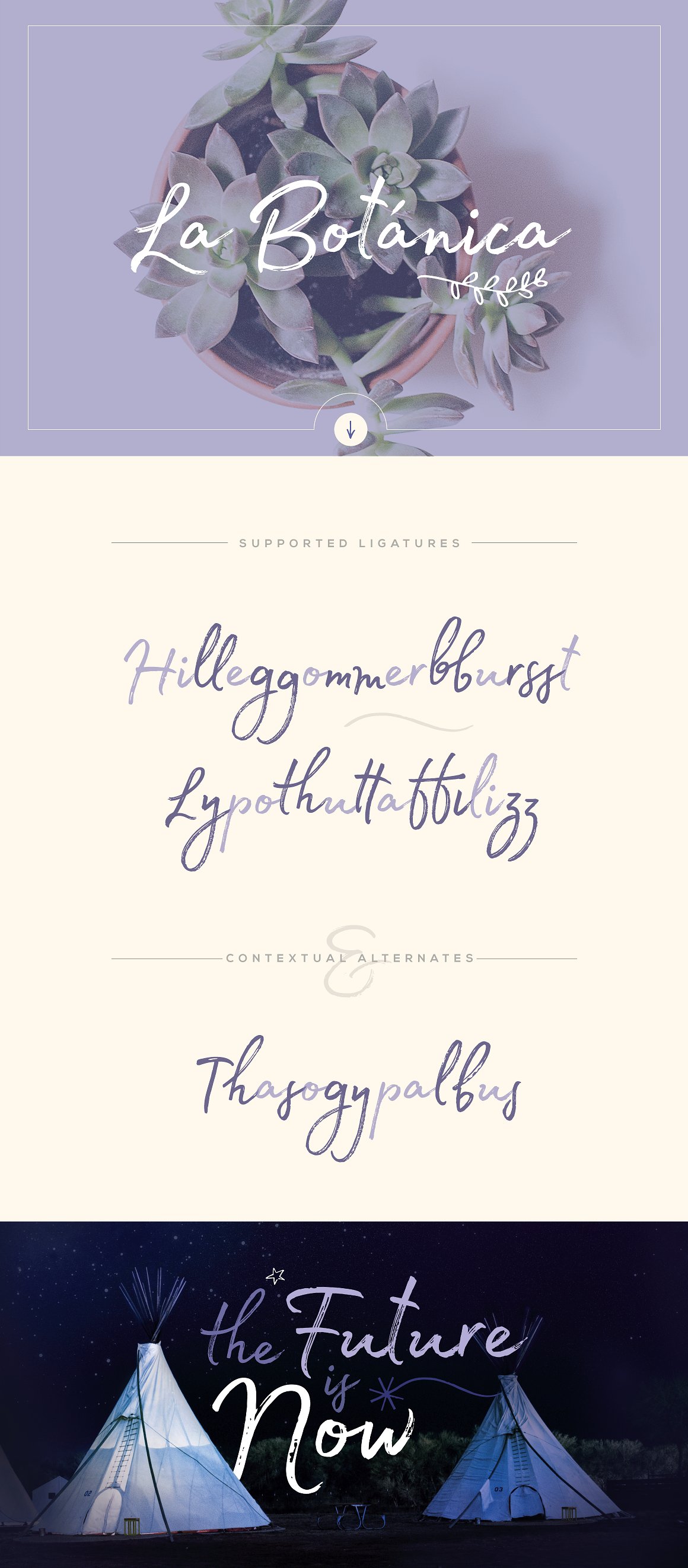 Madelyn Fill-Regular Font preview