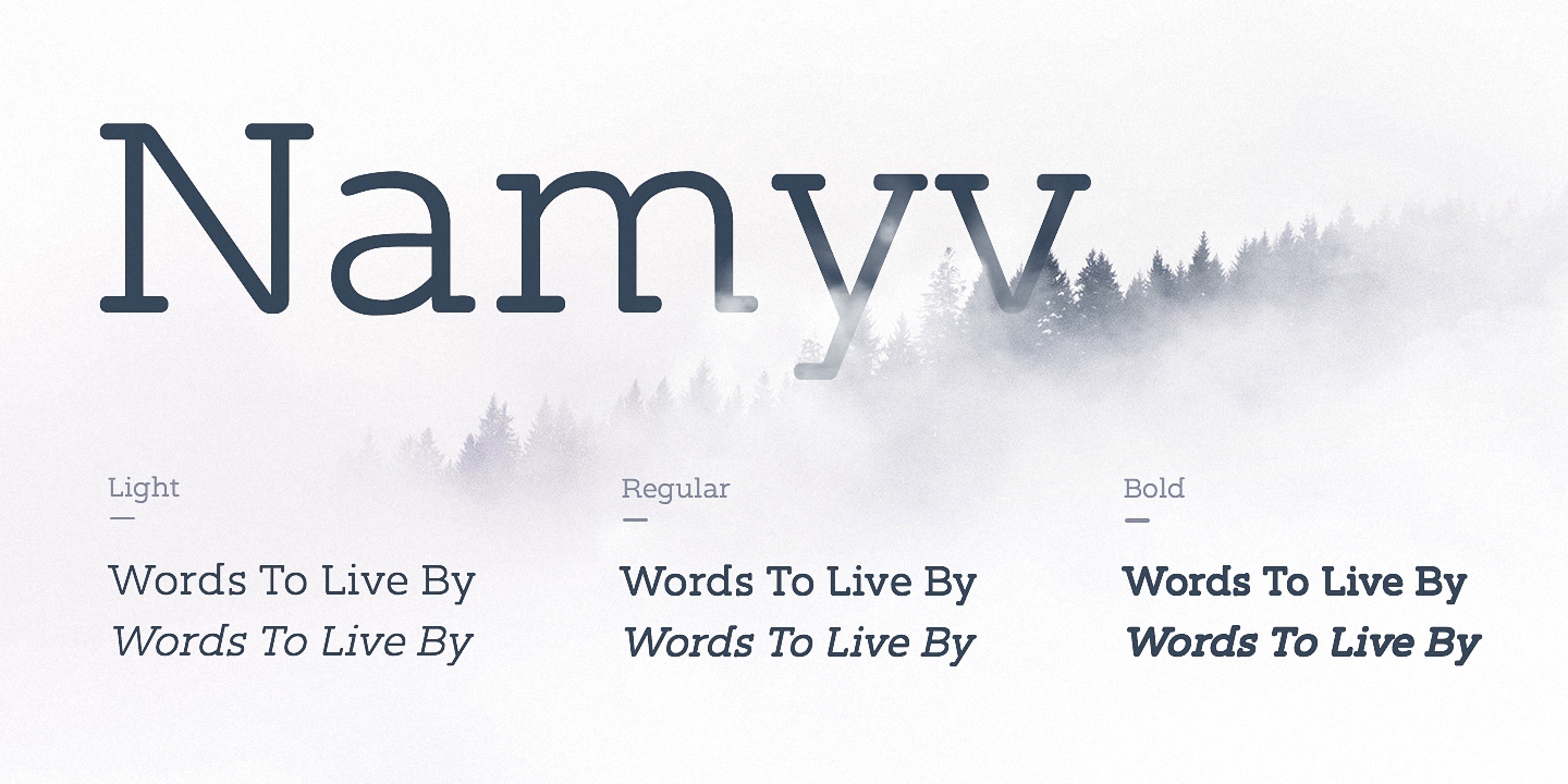 Namyv Light Italic Font preview