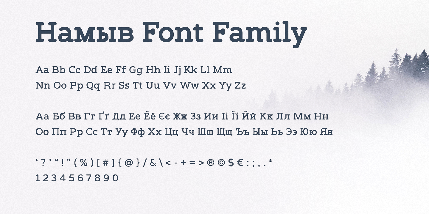 Namyv Bold Italic Font preview