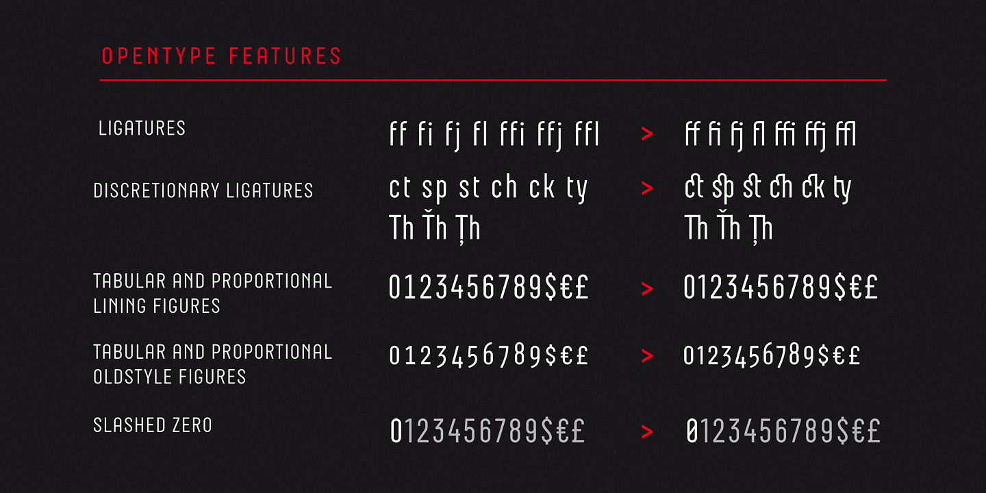 Neubau Pro Italic Font preview