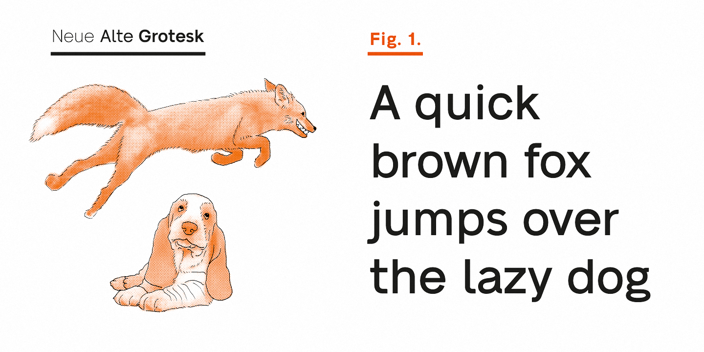 Neue Alte Grotesk Heavy Font preview