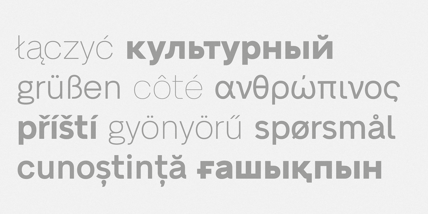 Neue Alte Grotesk Thin Font preview
