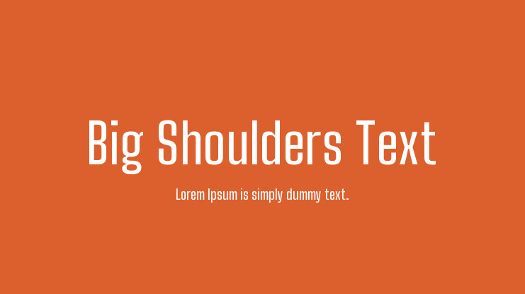 Big Shoulders Text Font preview
