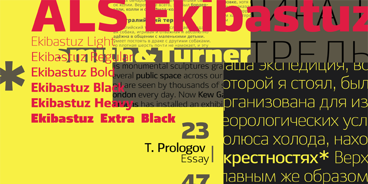 ALS Ekibastuz Bold Font preview