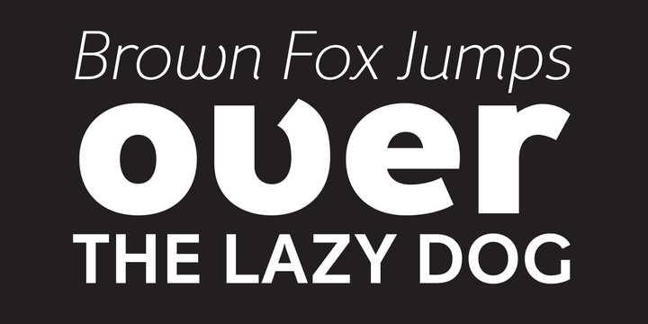 Fox Grotesque Pro Thin Font preview
