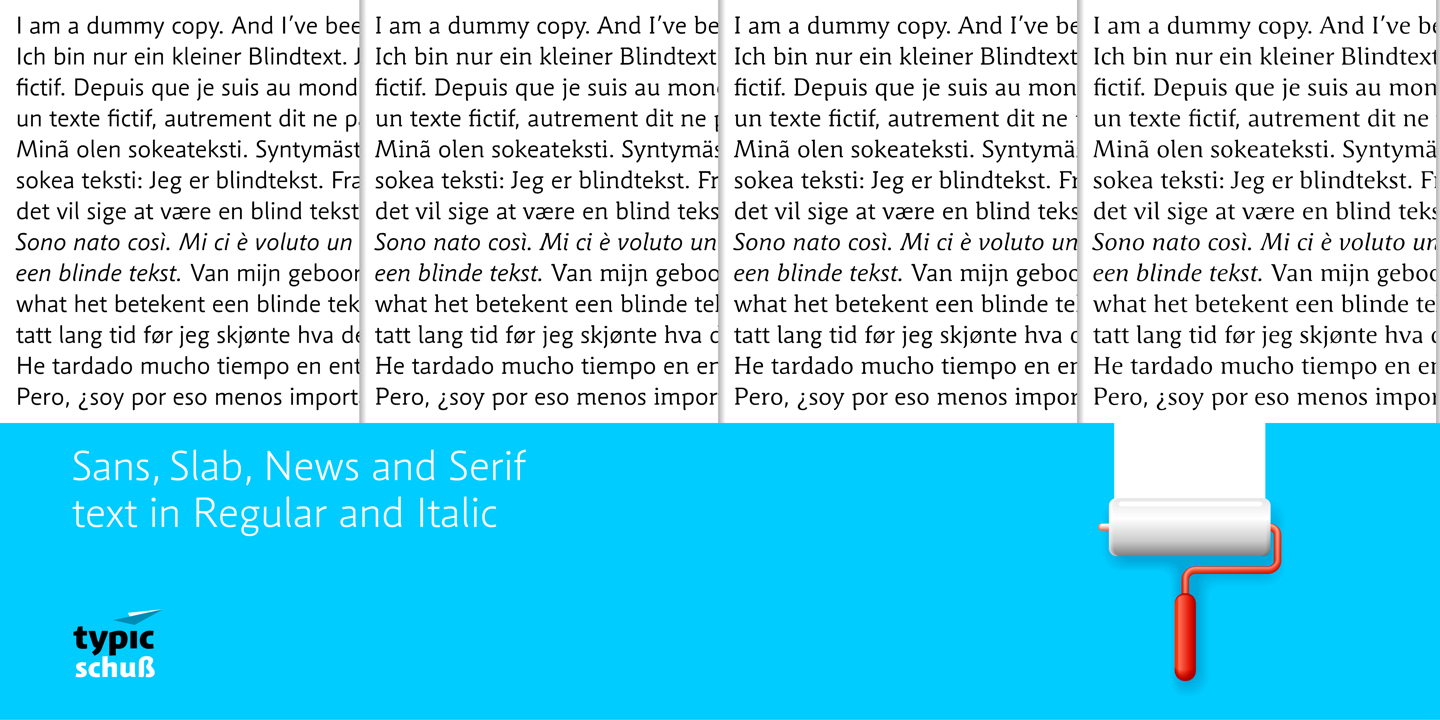 Schuss Sans Italic Font preview