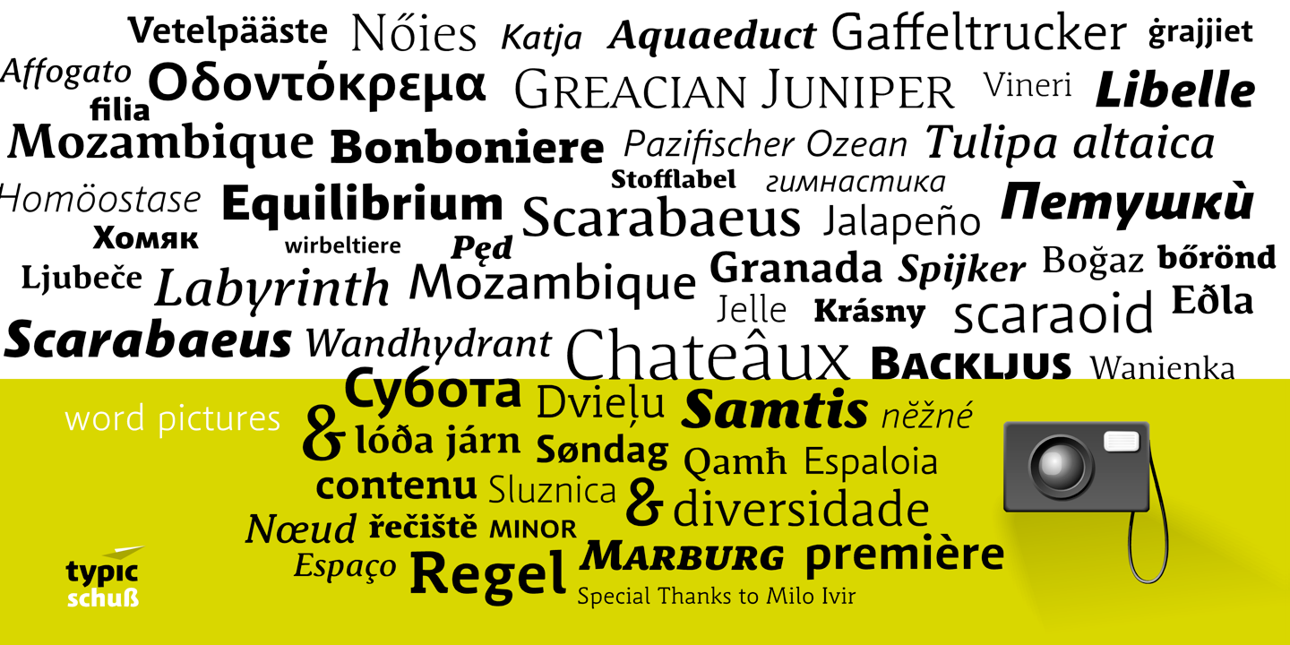 Schuss Sans Light Font preview