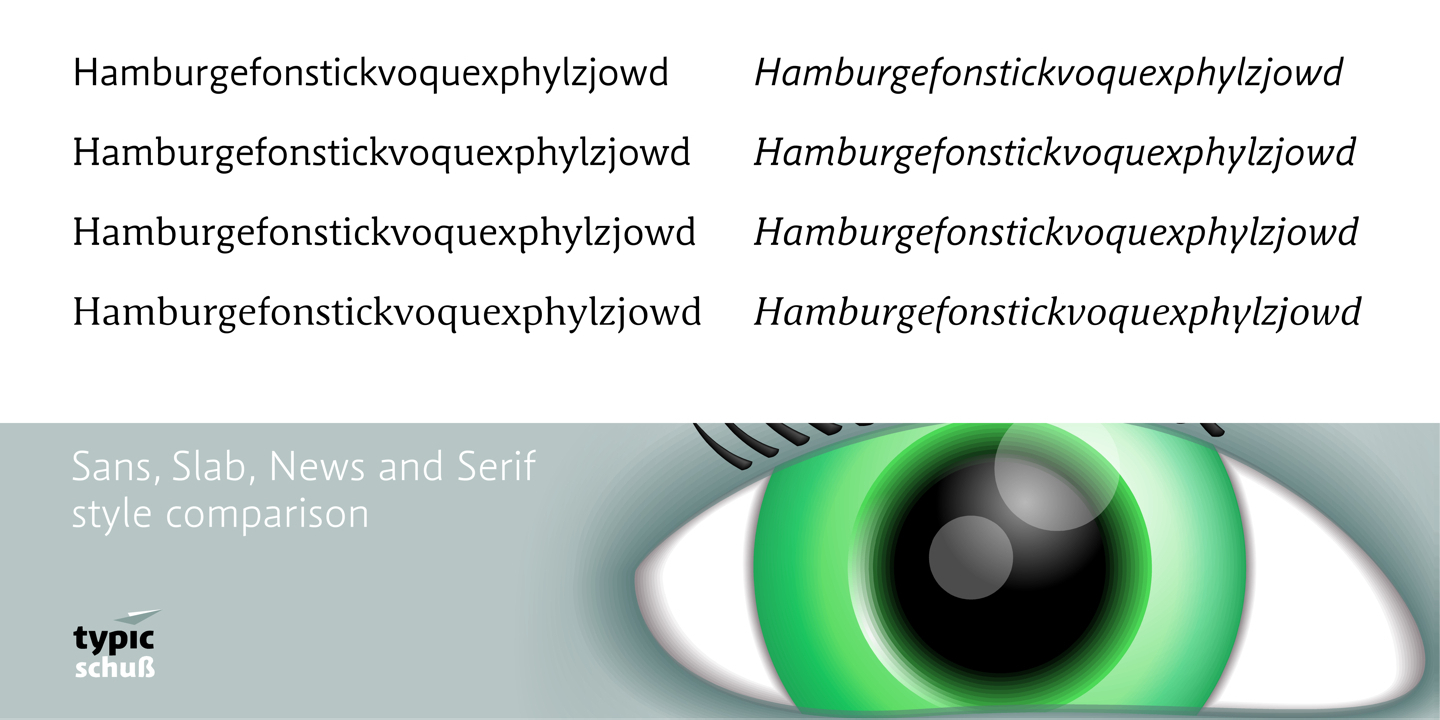 Schuss Sans Light Italic Font preview