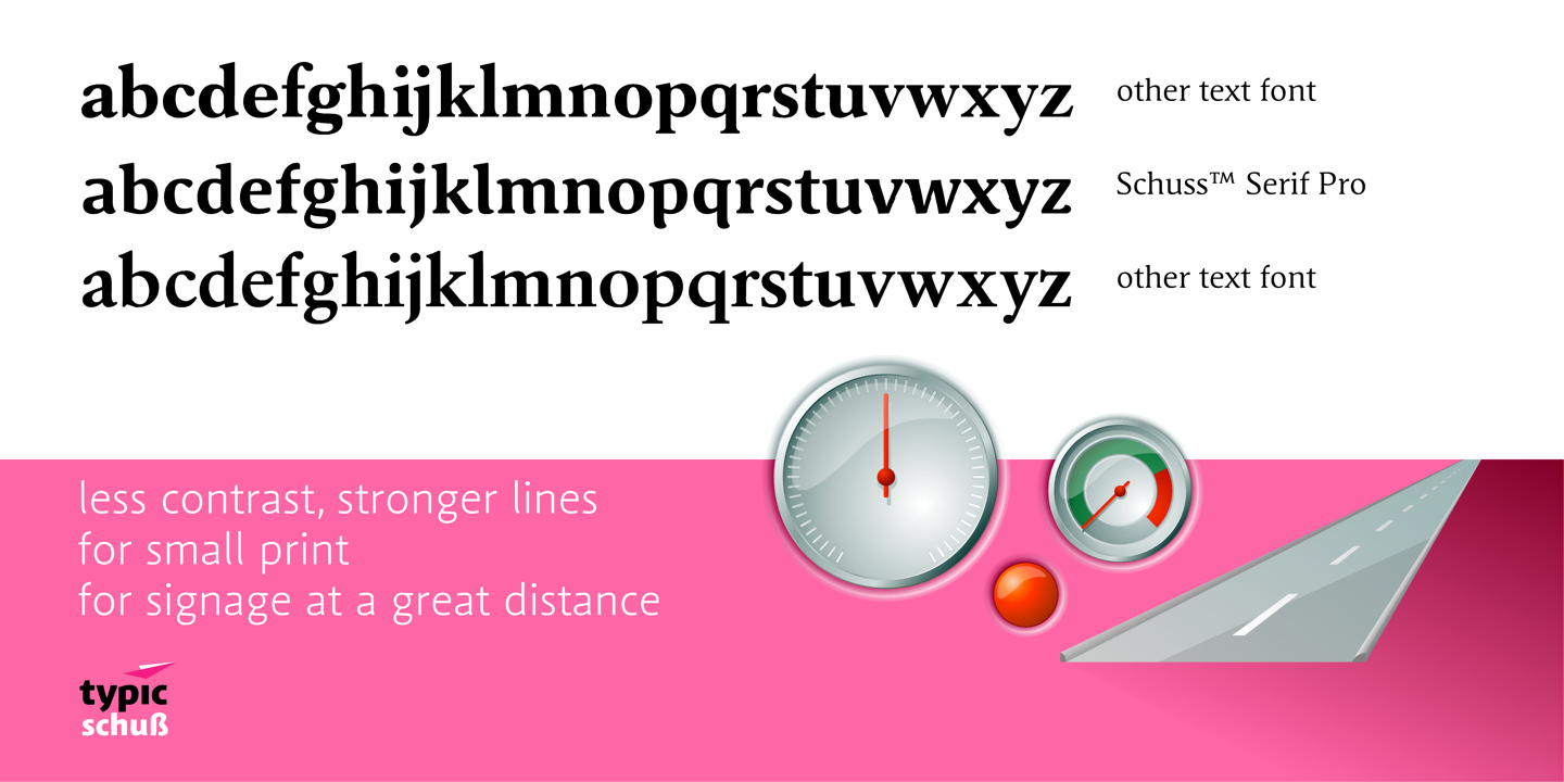 Schuss Slab Pro Medium Italic Font preview