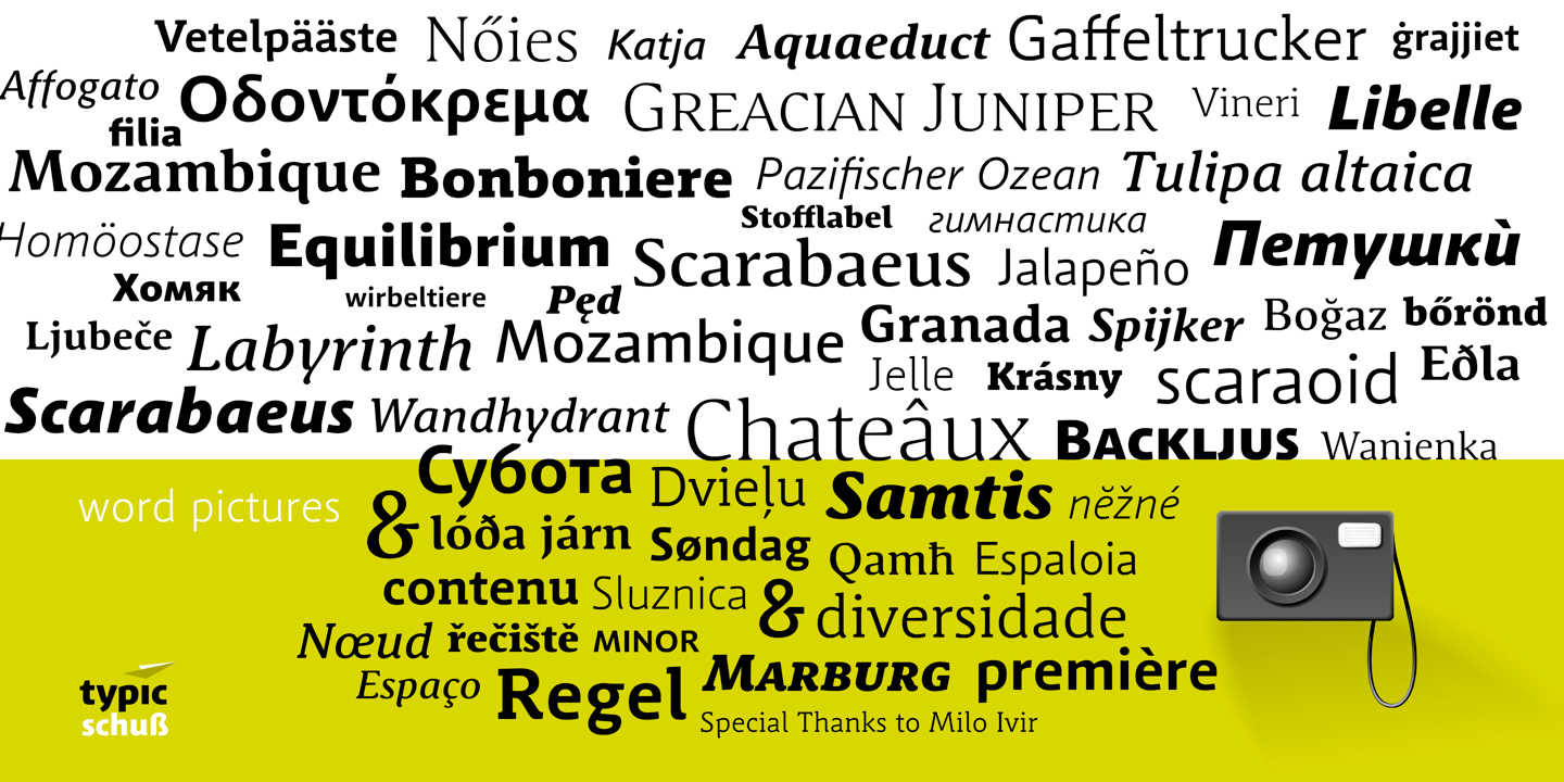 Schuss Slab Pro Italic Font preview