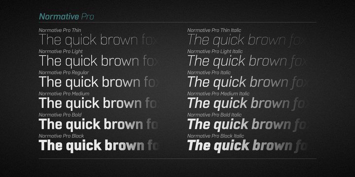 Normative Pro Black Font preview