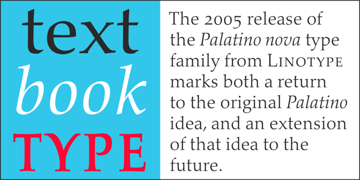 Palatino Nova Italic Font preview