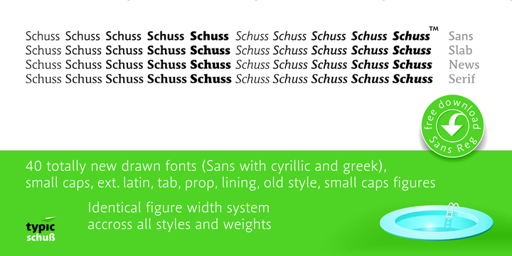 Schuss Sans PCG Heavy Italic Font preview