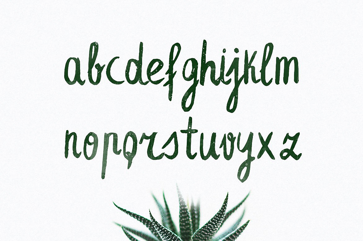 Leafy Extended Regular Font preview