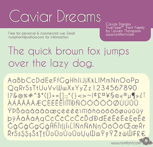 CAVIAR DREAMS Italic Font preview