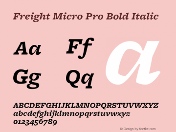 FreightMicro Pro Bold Italic Font preview