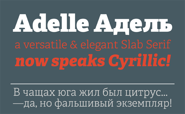 Adelle Sans CYR Font preview