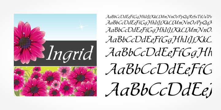 Ingrid Regular Font preview