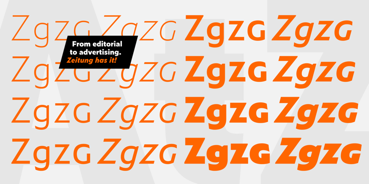 Zeitung Mono Pro Bold Italic Font preview