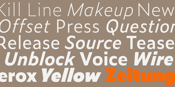 Zeitung Mono Pro Extra Light Font preview