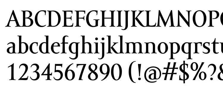 Amor Serif Text Pro Regular Font preview