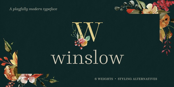 Winslow Book Font preview