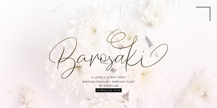 Barosaki Script Font preview