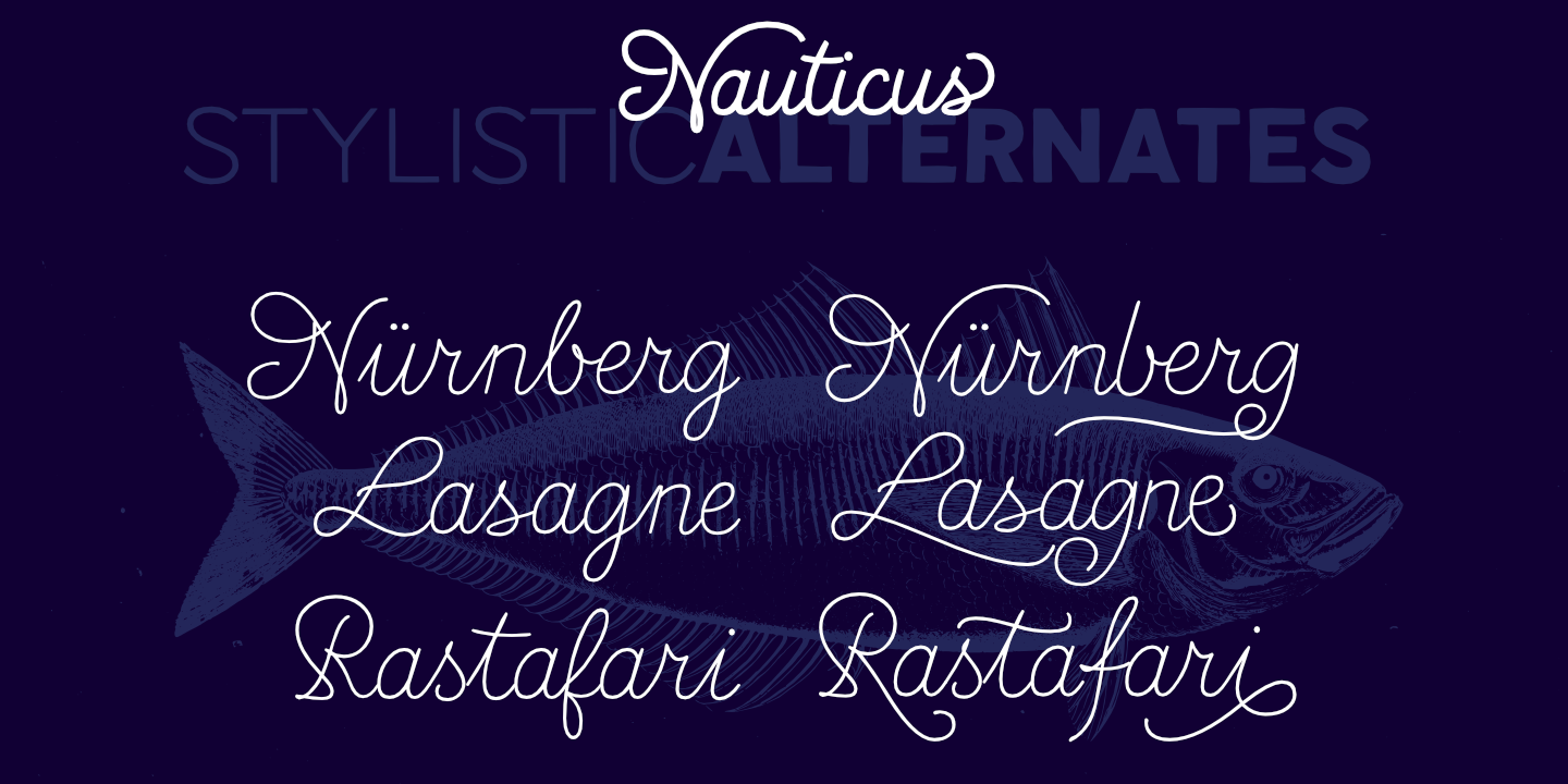 Nauticus Sans Script Regular Font preview