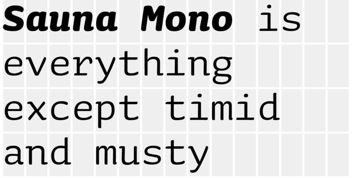 Sauna Mono Pro Bold Italic Font preview