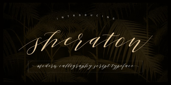 Sheraton Script Font preview