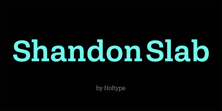 Shandon Slab Font preview