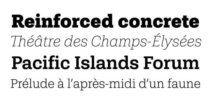 Shandon Slab Book Italic Font preview