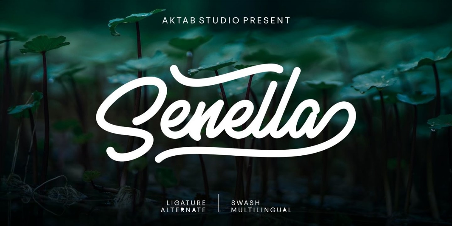 Senella Script Font preview