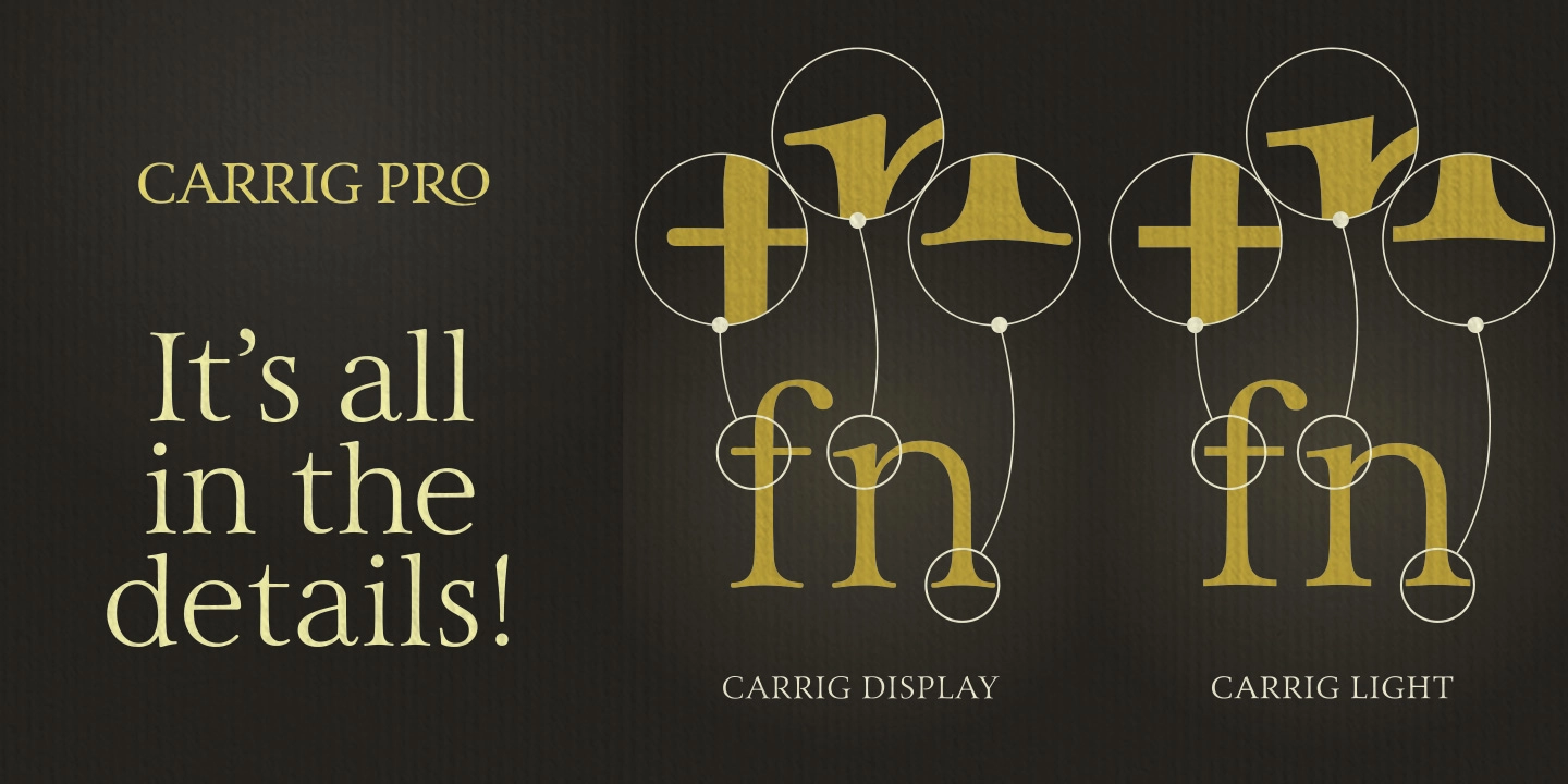 Carrig Pro Italic Font preview