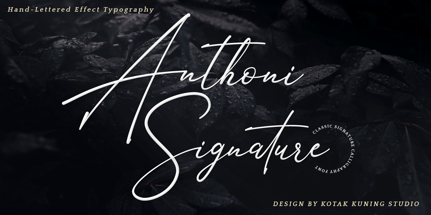 Anthoni Signature Font preview