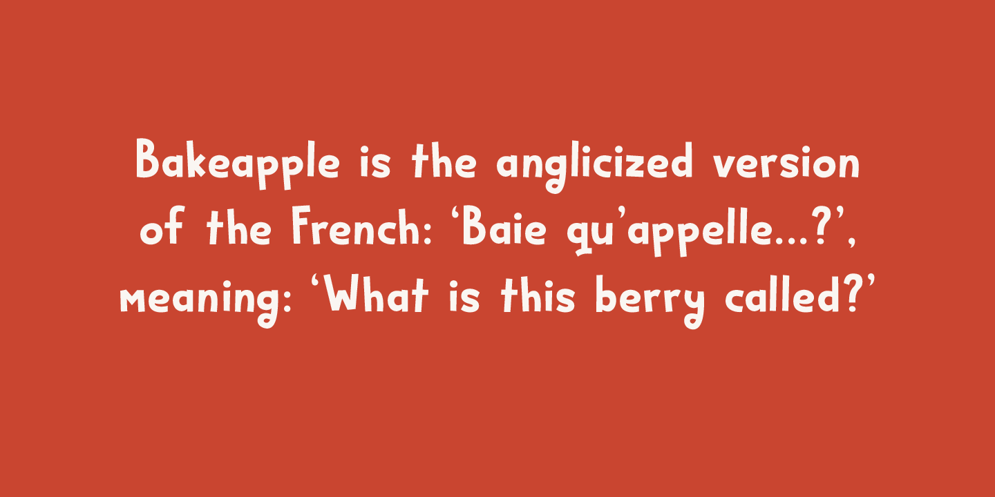 Bakeapple Italic Font preview