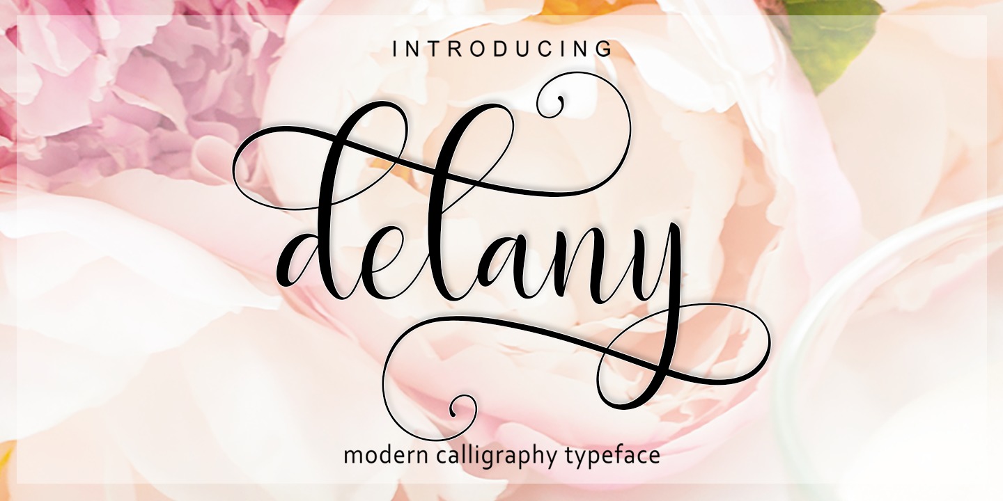 Delany Script Font preview