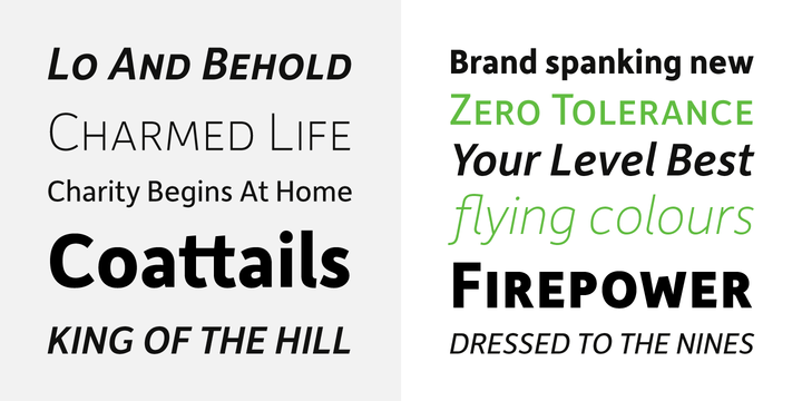 Depot New Bold Italic Font preview