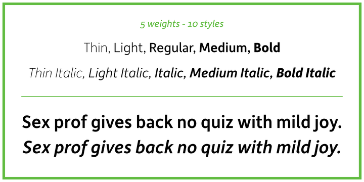 Depot New Bold Italic Font preview