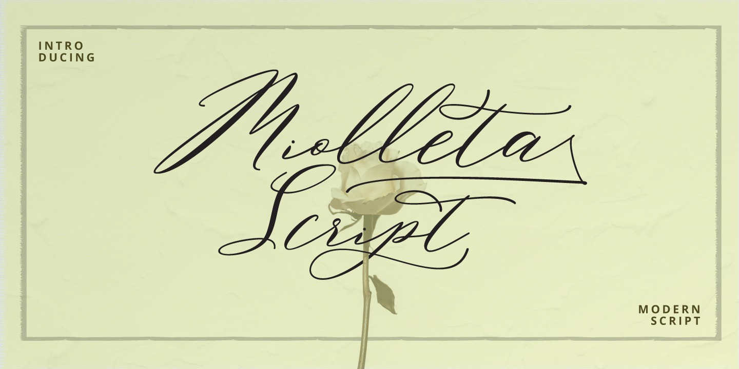 Miolleta Script Font preview
