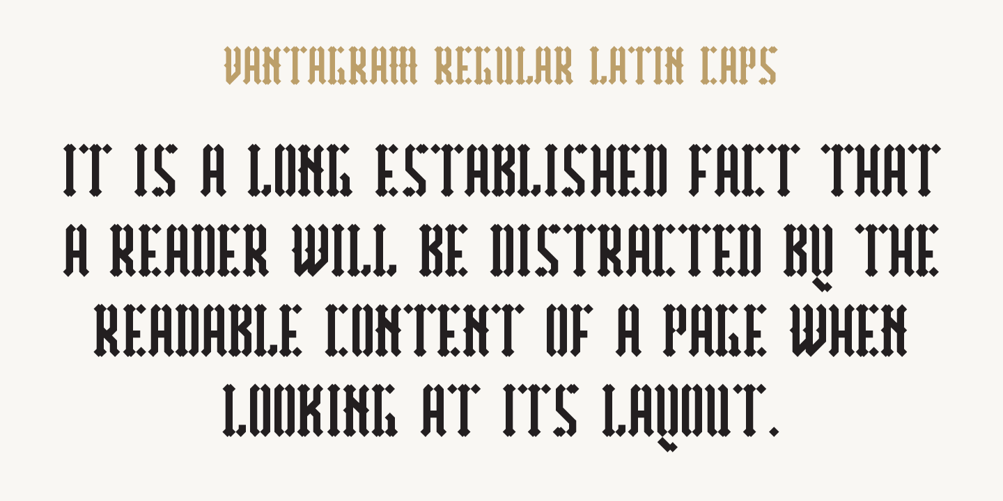 Vantagram Rough Italic Font preview