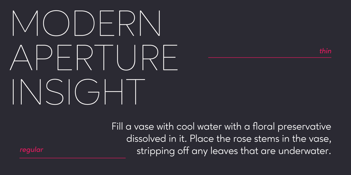 Ageo Thin Italic Font preview