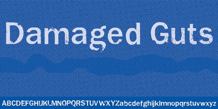 Damaged Guts Font preview