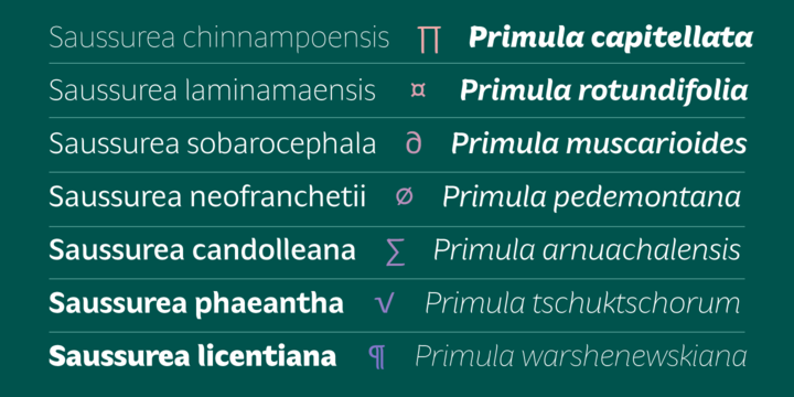 Hua Italic Font preview