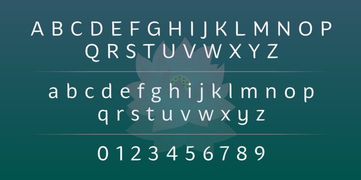 Hua Bold Font preview