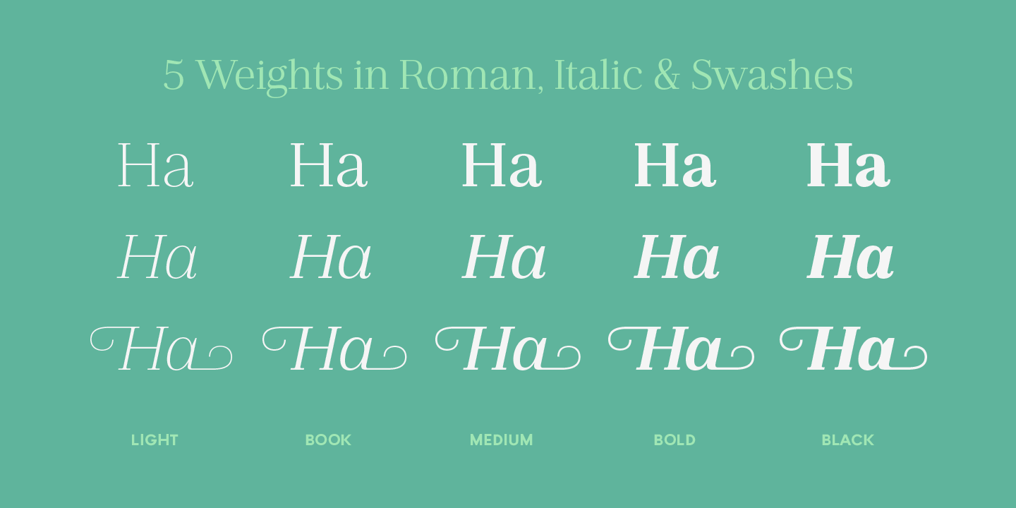Jules Text Light Swashes Font preview
