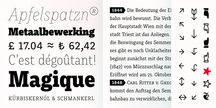 Muriza Light Italic Font preview