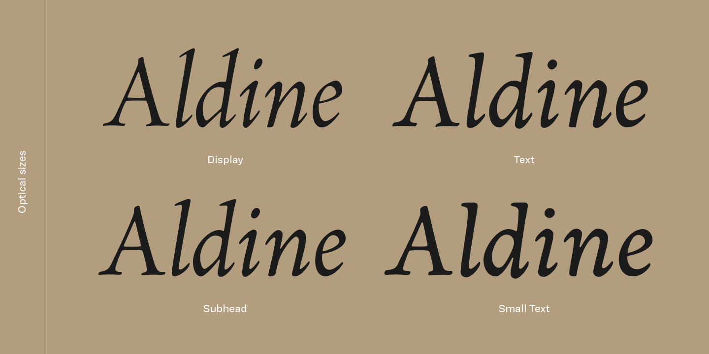 Neacademia Display Italic Font preview