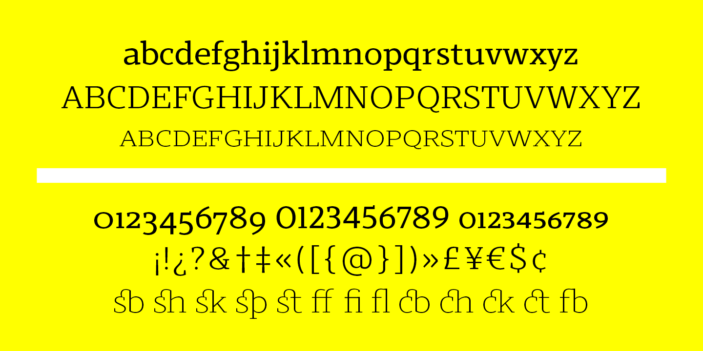 Scharf Heavy Font preview