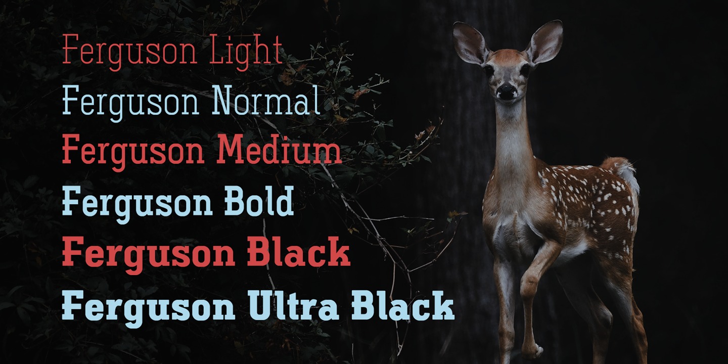 Ferguson Light Italic Regular Font preview